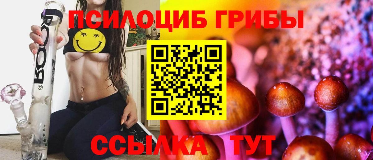 Галлюциногенные грибы Psilocybine cubensis  купить  сайты  Вход с VPN  Черняховск  Галлюциногенные грибы MAGIC MUSHROOMS 