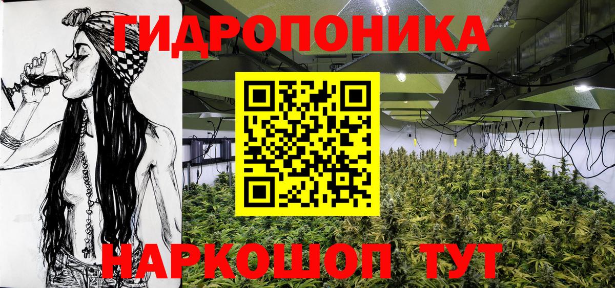 Марихуана план Черняховск
